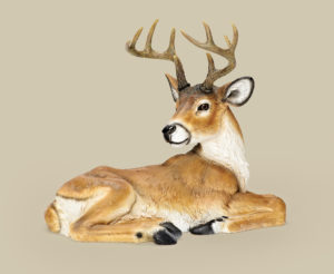 Buck with Antlers
